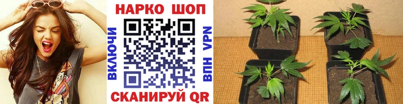 Как найти закладки Ступино Марихуана Меф Кокаин Гашиш