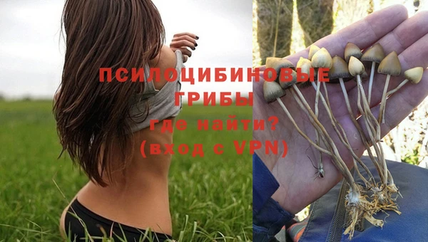 марки lsd Осинники