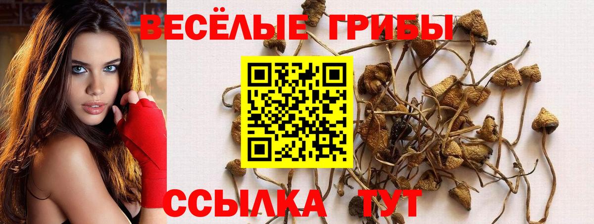 Ступино  Псилоцибиновые грибы MAGIC MUSHROOMS  сколько стоит  Вход с VPN 